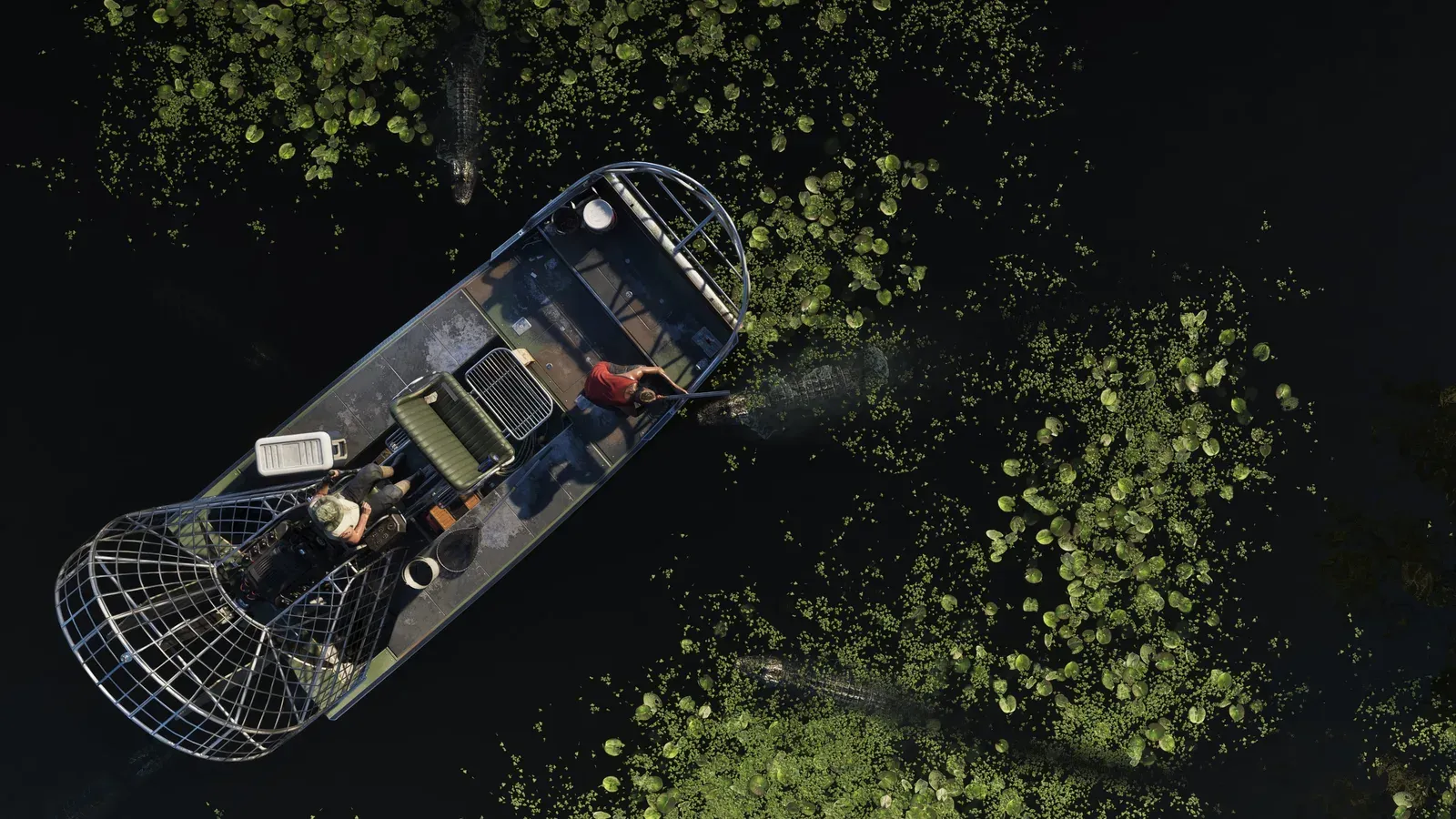 An overhead view of an airboat and several alligators moving through lily pads and duckweed in GTA 6's Grassrivers